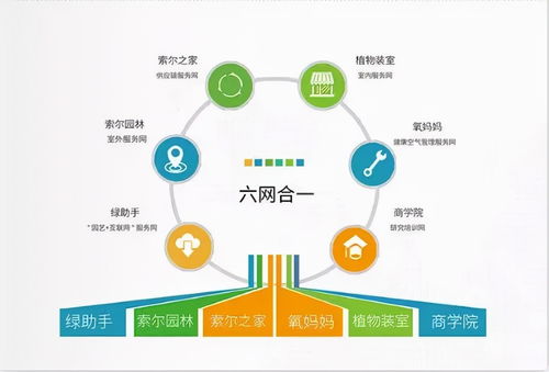 園林綠化廣告宣傳與軟件開發 如何通過網絡營銷接大工程訂單
