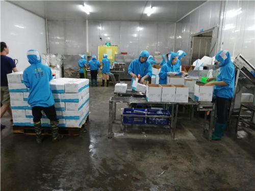 第三方專業驗廠、生產環境檢查與商品檢測報告及禮儀服務全解析